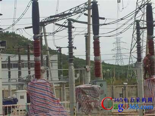 防风型熔断器-HRW12-35kV